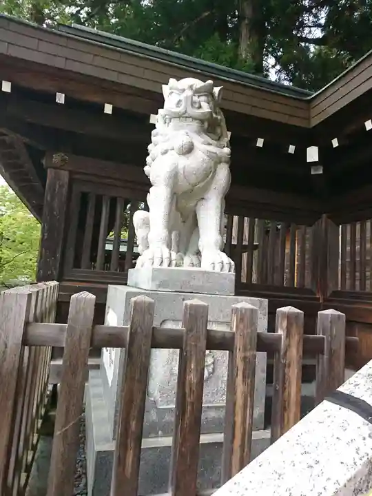 櫻山八幡宮の狛犬