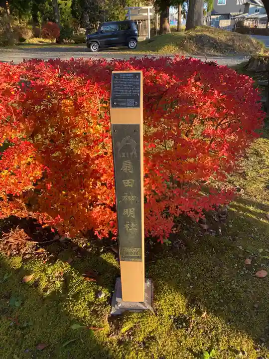 神明社(秋田県)