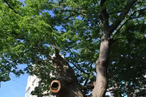 阿邪訶根神社の自然