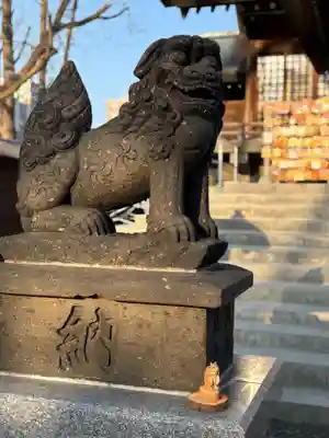 札幌諏訪神社の狛犬