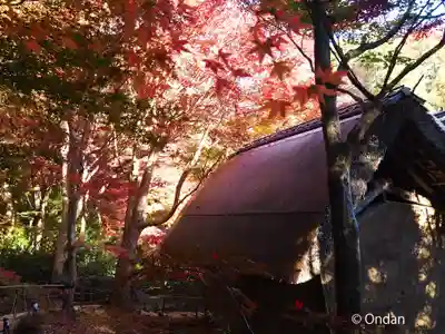 教林坊(滋賀県)