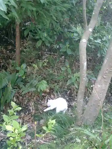 安國論寺（安国論寺）の自然