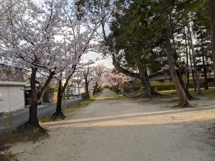 伊多波刀神社(愛知県)
