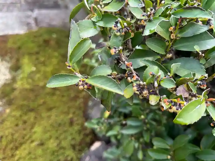 西方山極楽寺(岐阜県)
