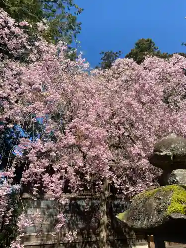 光丸山 法輪寺(栃木県)