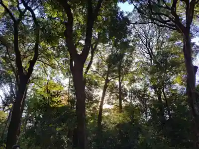 明治神宮(東京都)
