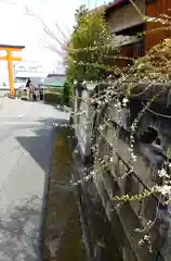 石鎚神社の自然