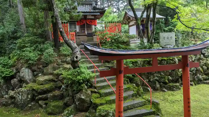柳谷観音 楊谷寺(京都府)