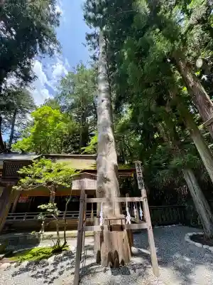 諏訪大社下社春宮(長野県)