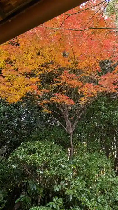 桂春院(京都府)