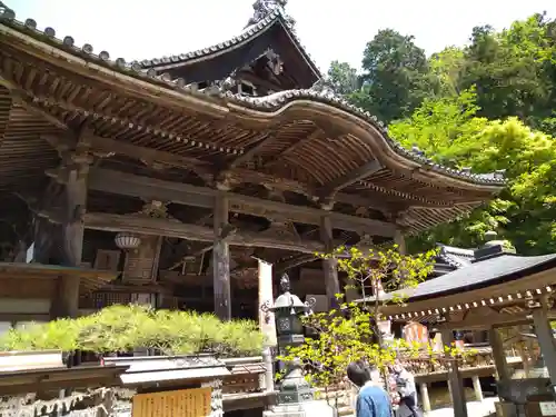 岡寺（龍蓋寺）の本殿