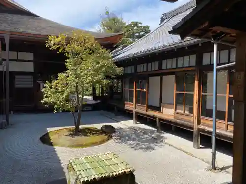 建仁寺（建仁禅寺）の庭園