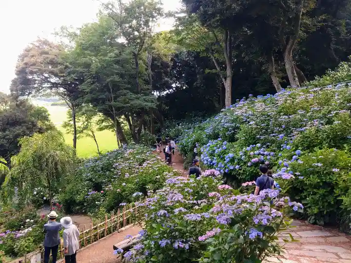 二本松寺(茨城県)