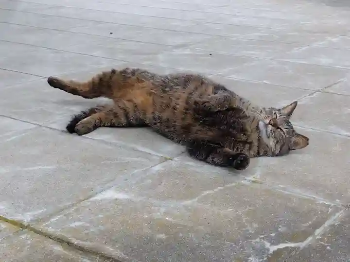 正覚寺(福井県)