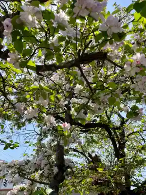 蓮華寺(福島県)