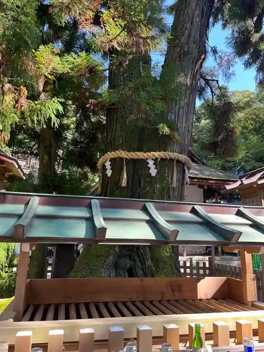 大神神社の自然