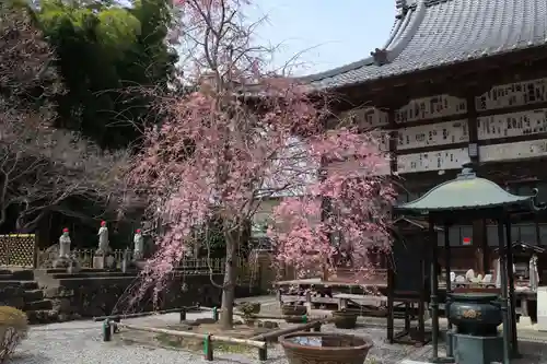 長泉院(埼玉県)