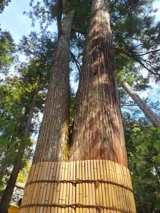 伊勢神宮内宮(皇大神宮)(三重県)