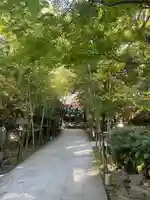 來宮神社(静岡県)