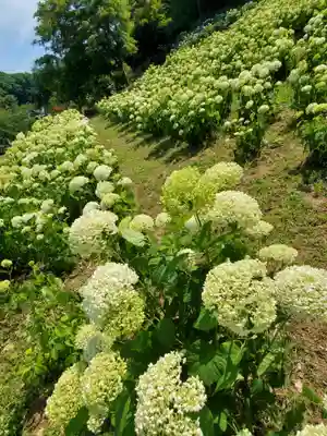陽林寺(福島県)