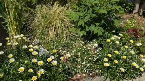 大浦天主堂の庭園