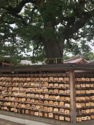 明治神宮(東京都)