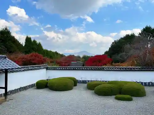正伝護国禅寺(正伝寺･正傳寺)(京都府)