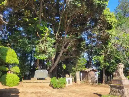 伏木香取神社(茨城県)