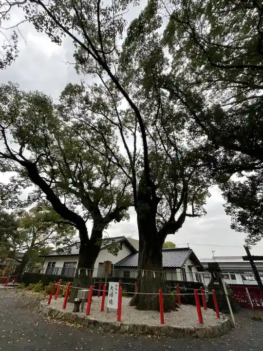 美奈宜神社の自然