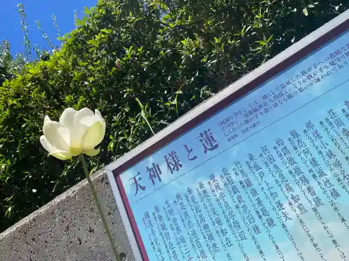 綱敷天満宮のその他建物