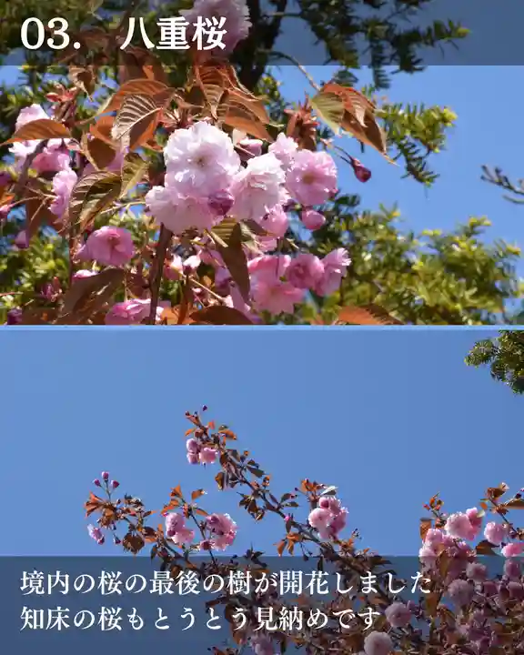 宝光寺(北海道)