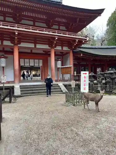 春日大社(奈良県)