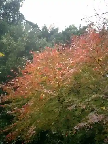 安國論寺（安国論寺）の自然