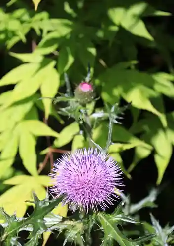 養徳院(京都府)