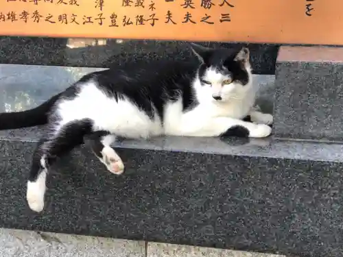 王子神社の動物