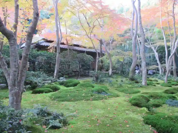祇王寺(京都府)