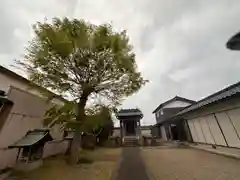 厳島神社(兵庫県)