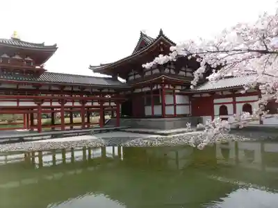 平等院の本殿・本堂