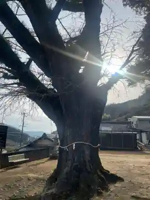 賀茂神社(和歌山県)