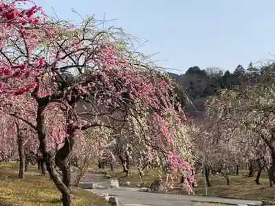 金井神社(三重県)