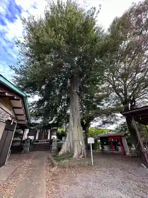白山神社(東京都)