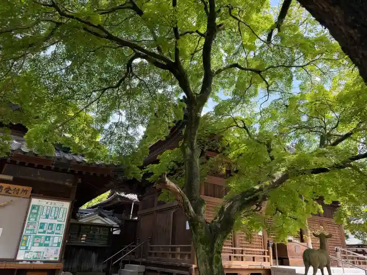 愛知県高浜市春日神社の{uncategorized: "未分類", other: "その他", undefined: "問題あり", building: "その他建物", grave: "お墓", sacred_gate: "鳥居", guardian: "狛犬", statue: "像", buddha: "仏像", history: "歴史", nature: "自然", garden: "庭園", animal: "動物", pagoda: "塔", temizu: "手水舎", mountain_gate: "山門・神門", sanctuary: "本殿・本堂", subordinate: "末社・摂社", art: "芸術", scenery: "景色", jizo: "地蔵", ema: "絵馬", goshuin: "御朱印", omikuji: "おみくじ", items: "授与品その他", amulet: "お守り", goshuincho: "御朱印帳", eats: "食事", festival: "お祭り", votive_dance: "神楽", shichigosan: "七五三参", wedding: "結婚式", experience: "体験その他", initially: "初詣", around: "周辺", anti_infection: "感染症対策"}