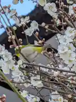 熊野神社(東京都)