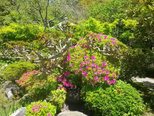 浄光明寺の自然