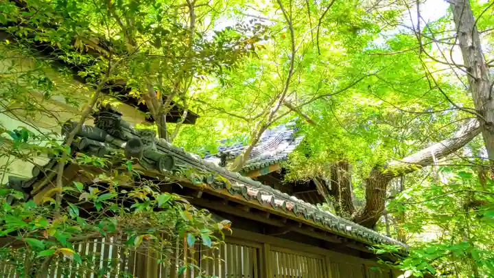 八剱社の本殿・本堂