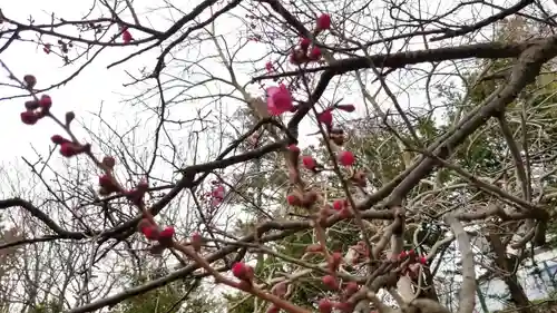 帰厚院(北海道)