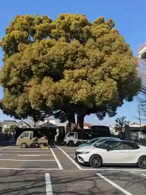 乗泉寺世田谷別院(東京都)