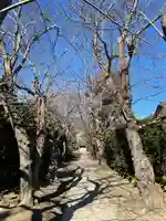 極楽寺(霊鷲山感應院極楽律寺)の景色