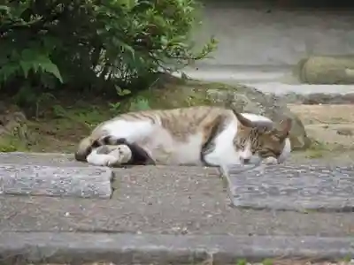 智恩寺(京都府)