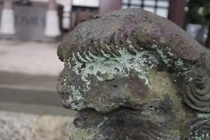 川越八幡宮の狛犬